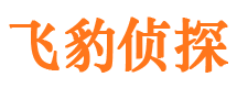 郏县市婚外情调查